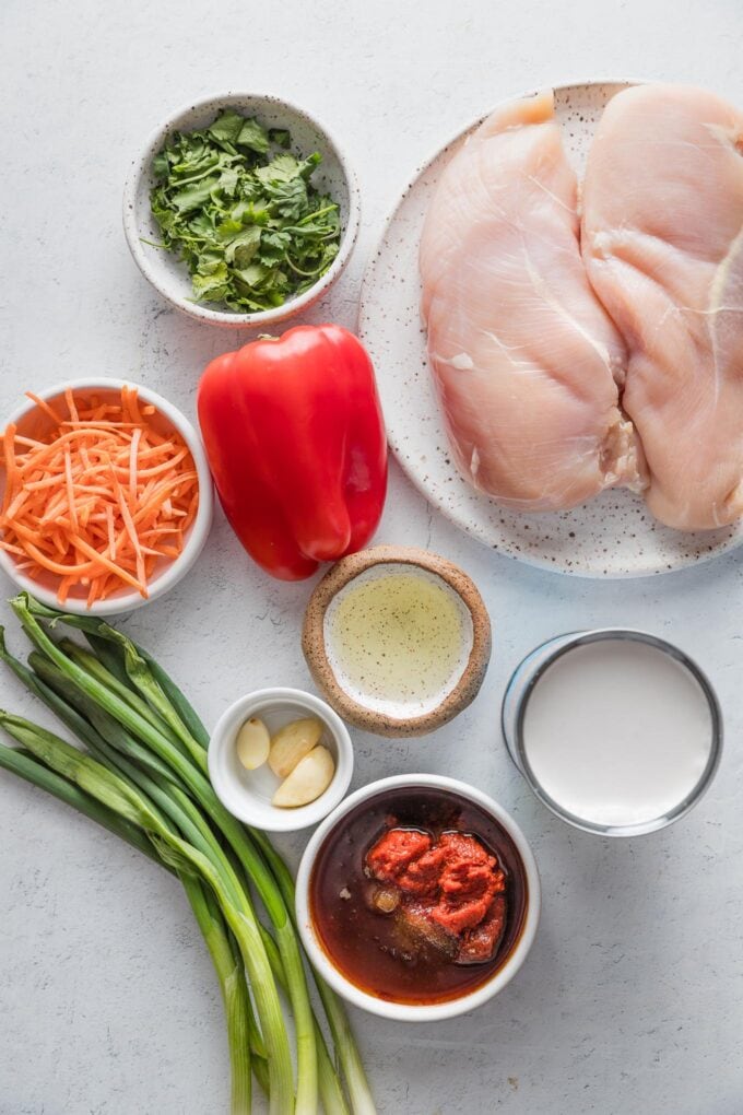 Overhead view of ingredients for a Thai red chicken curry: chicken breasts, red pepper, shredded carrots, green onions, garlic, oil, coconut milk, red curry paste, brown sugar, fish sauce, and chopped green onions.
