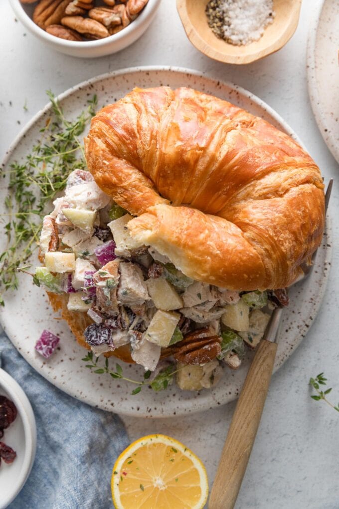 Small lunch plate with a large butter croissant filled with cranberry pecan apple chicken salad, and a few sprigs of fresh thyme on the side.