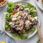 Overhead view of a plate with a bed of mixed salad greens topped with cranberry pecan chicken salad.