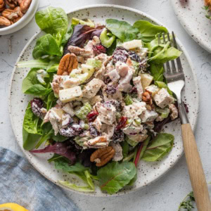 Overhead view of a plate with a bed of mixed salad greens topped with cranberry pecan chicken salad.