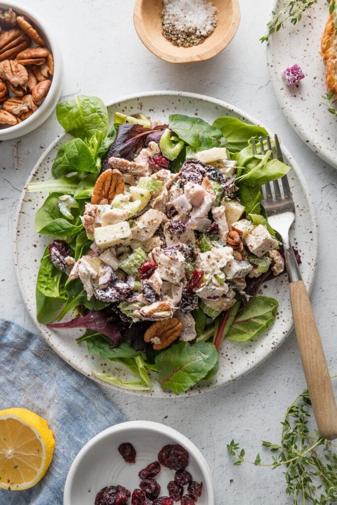 Overhead view of a plate with a bed of mixed salad greens topped with cranberry pecan chicken salad.
