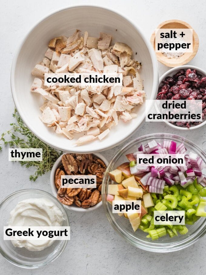 Labeled overhead photo of chopped cooked chicken, celery, red onion, apple, pecans, dried cranberries, fresh thyme, Greek yogurt, kosher salt and black pepper, all in prep bowls.