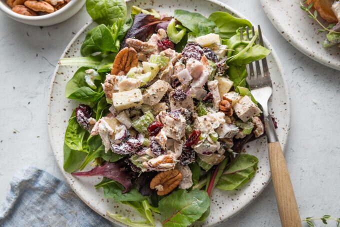 Landscape view of a plate with a bed of mixed salad greens topped with cranberry pecan chicken salad.