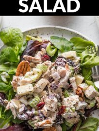 This Cranberry Pecan Chicken Salad is relatively light, with fresh herbs and tangy Greek yogurt pulling together tender bites of chicken, sweet apple and cranberries, and crunchy celery and pecans. It all adds up to a delicious combo that even chicken salad skeptics can enjoy for a special lunch or breezy dinner.