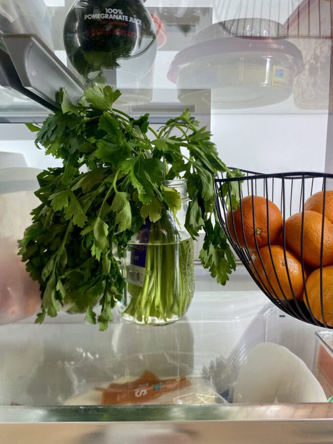Fresh cilantro in water in a glass jar for storing in the fridge.