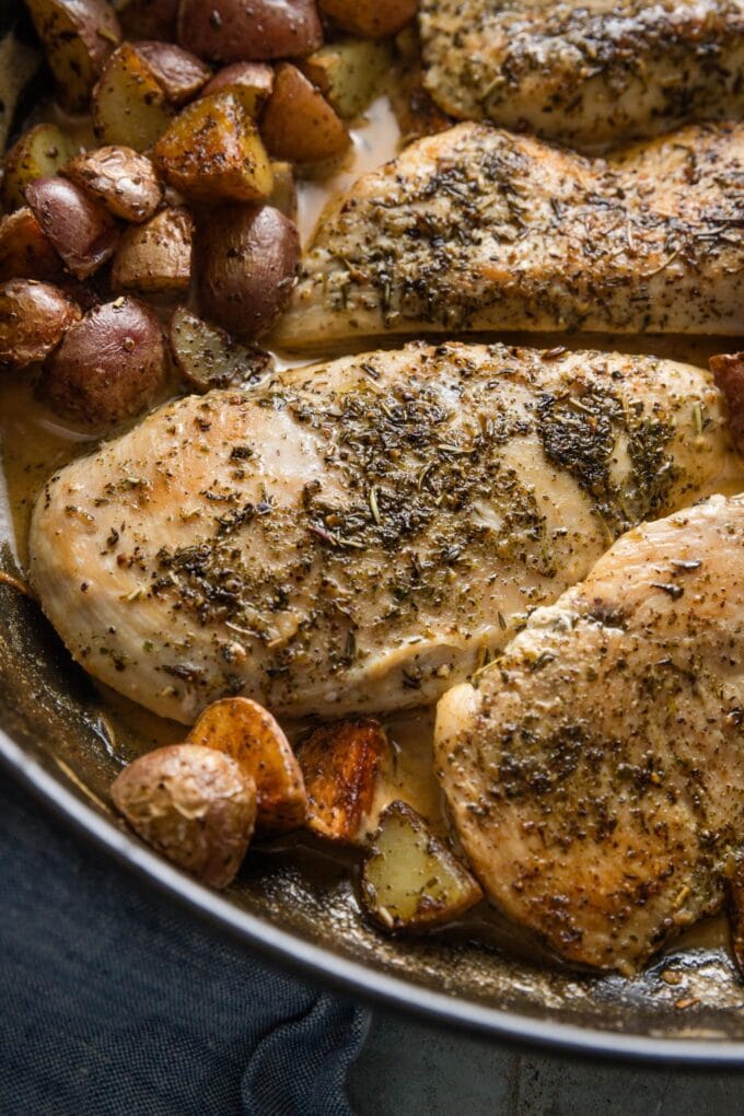 Close up view of a chicken breast seasoned generously with Herbes de Provence, pan-fried, and served with a Dijon cream sauce.
