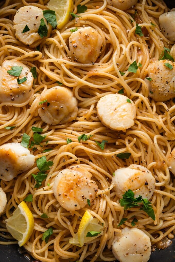 Close up view of spaghetti with pan-seared scallops in a large skillet.