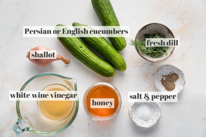 Labeled overhead photo of several Persian cucumbers, a whole shallot, fresh dill, white wine vinegar, honey, salt, and pepper.