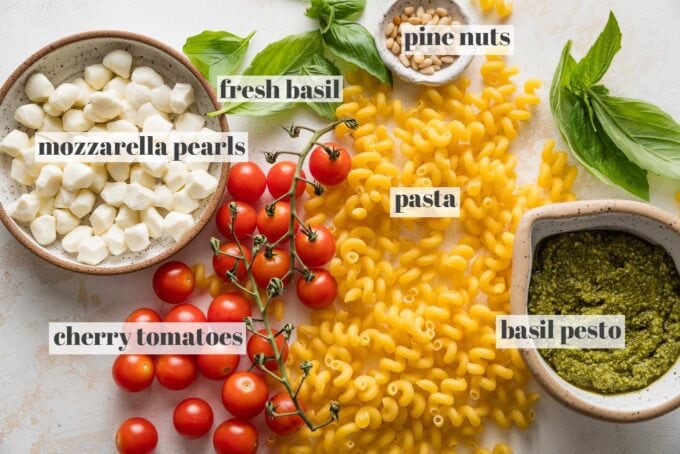 Labeled overhead photo of dried cavatappi pasta, fresh basil pesto, fresh basil leaves, creamy mozzarella balls, cherry tomatoes on the vine, and toasted pine nuts.