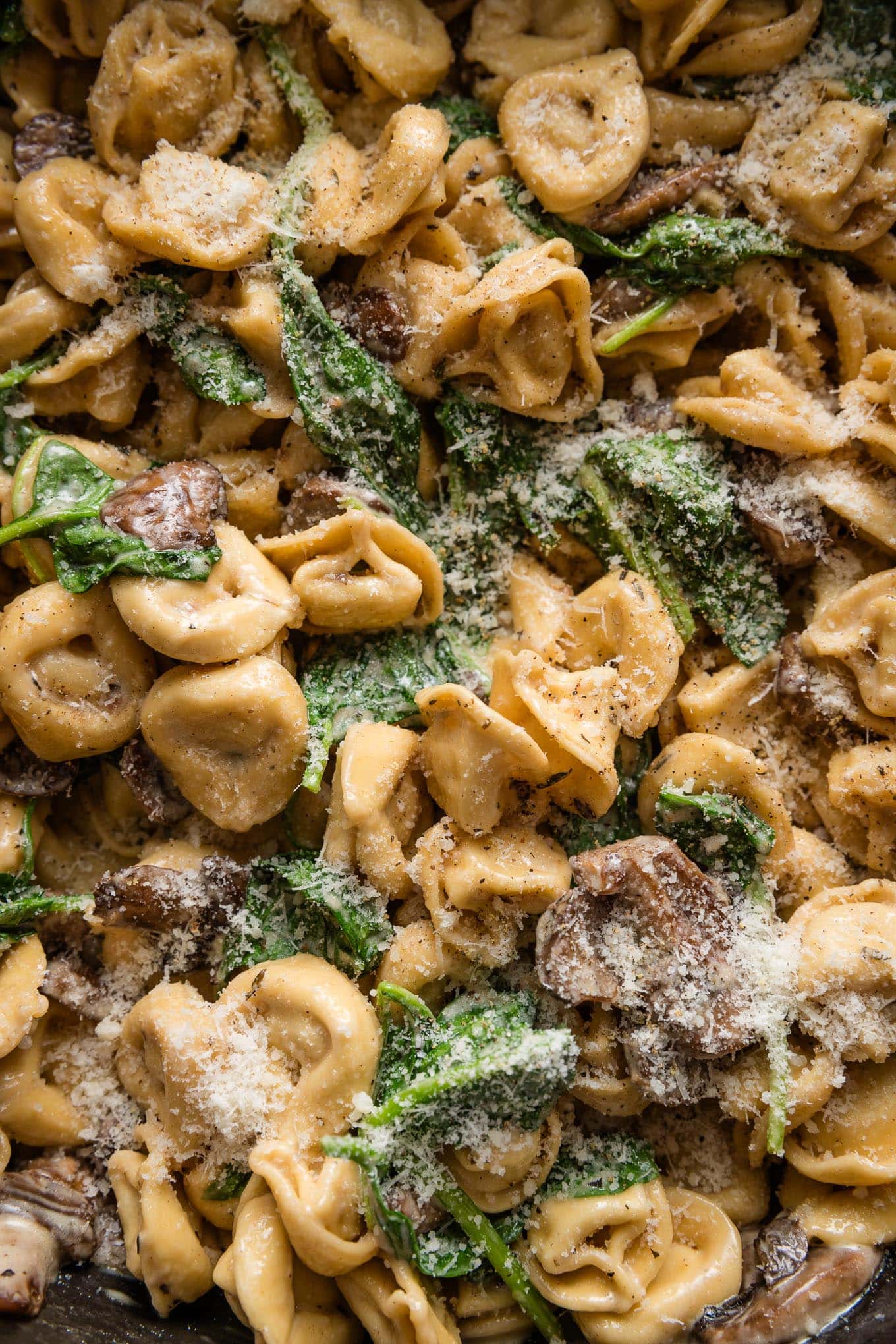 Close up of tortellini cooked in a pan with a quick homemade cream sauce, browned mushrooms, and wilted Parmesan.