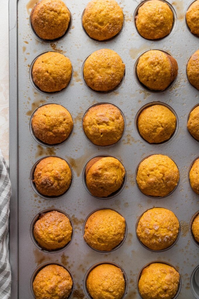 Mini muffin tin full of pumpkin muffins with cinnamon sugar topping.