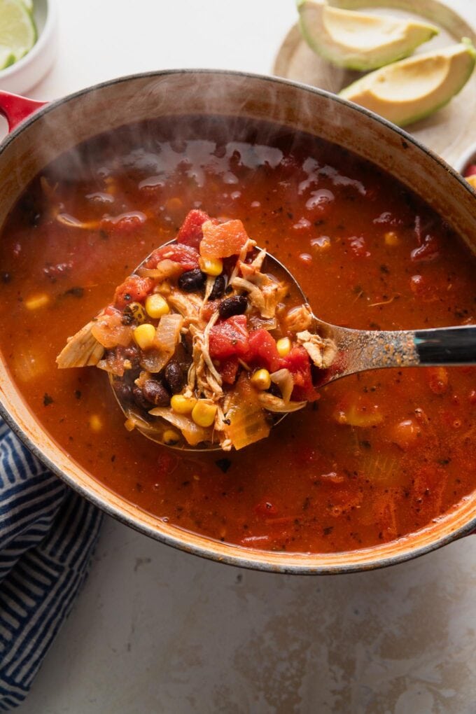 Large ladle-full of chipotle chicken tortilla soup.