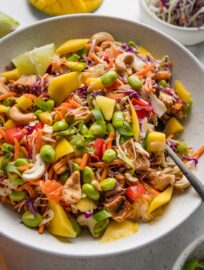 This Thai-inspired chopped chicken salad is basically my dream lunch: full of bright, contrasting flavors and textures; packed with a full rainbow of vegetables; and easy to assemble in a hurry. It intentionally skips a peanut dressing in favor of a sweet chili vinaigrette that just adds to all of this salad's vibrant flavors and light, crisp bites.