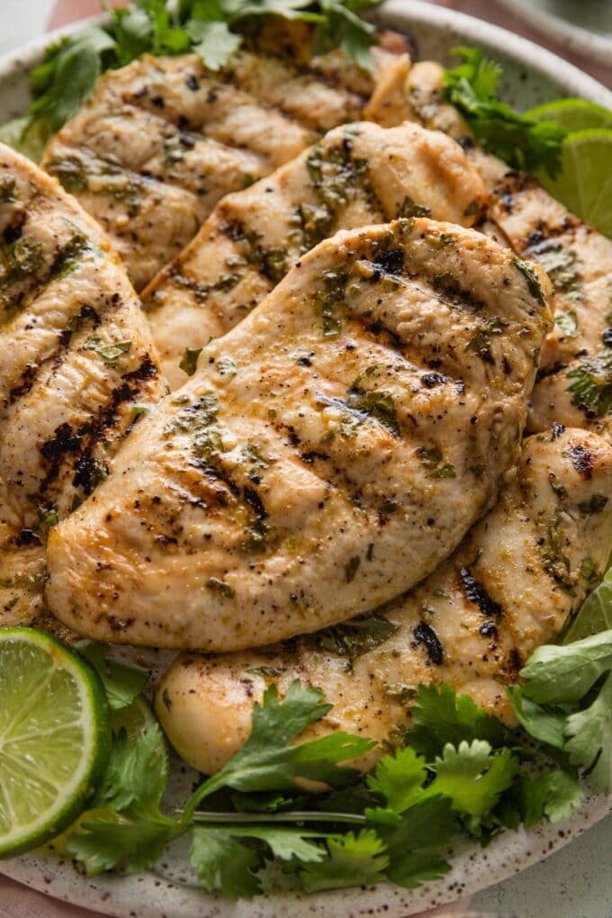 Close up of a cilantro lime seasoned grilled chicken breast resting on a dinner plate.