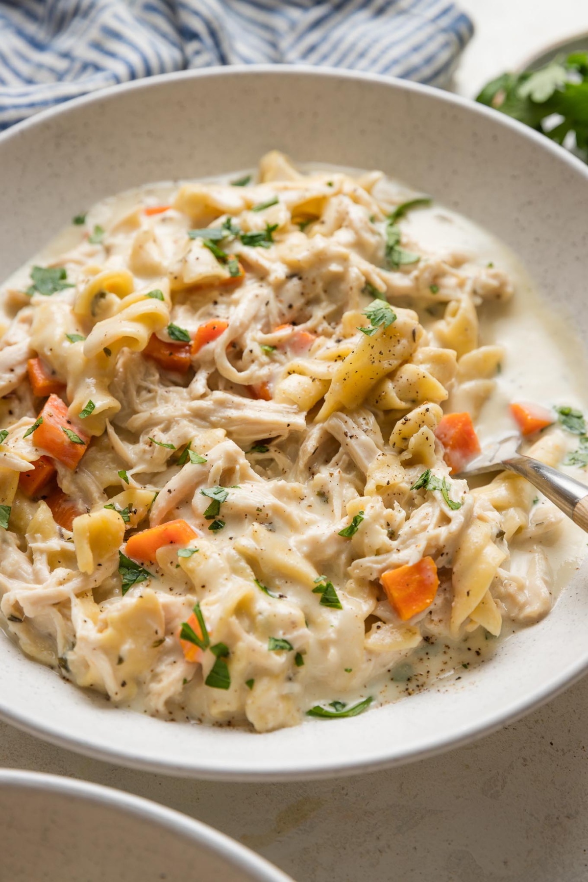 Angled view of a bowl full of one pot chicken and noodles with carrots and parsley.